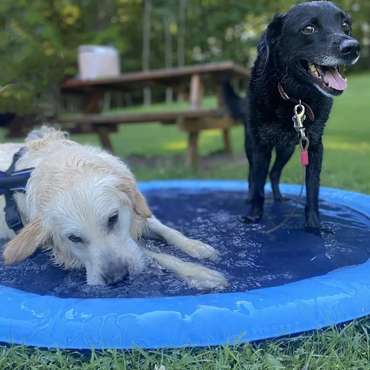 SplashyPad™ Water Fountain Pad